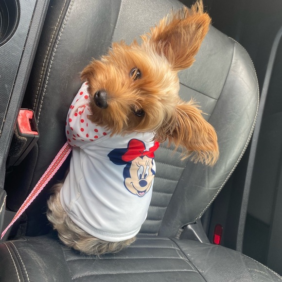 Meet your Posher, Chloe - Picture 2 of 15